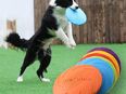 Hundefrisbee Hundespielzeug Silikon bissfest TRENDMOPS HUNDEUFO in 26121