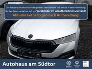 Skoda Octavia, 2.0 TDI Lim |, Jahr 2020 - Rietberg