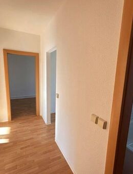 3 Zimmer Mietwohnung in Senftenberg wunderschöne 3.Raum Wohnung - Senftenberg