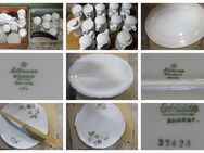 Einzelteller Servierplatten Tortenplatten Kuchenteller Kaffeekännchen Kaffeetassen Unterteller Markenware - Kemmern