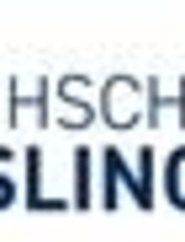 IT-Projektmanager:in (m/w/d) - Esslingen (Neckar)