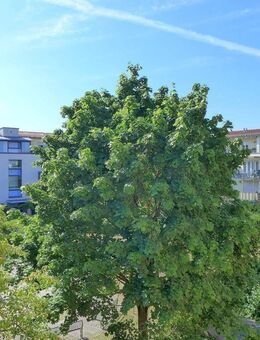 TerraSELECT: MUC-Südost - Unterbiberg, Nähe S5/U5/S3 | 2 Zi. | ruhige Lage | bezugsfrei | 52 m² Wfl. | Fernwärme | 2. OG - Sonnenbalkon - Neubiberg