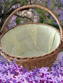 Einkaufkorb Neupreis 89 Euro in 64385