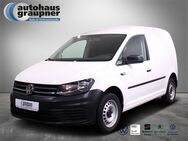 VW Caddy, 1.0 TSI Kasten, Jahr 2019 - Brandis