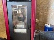 Ebenerdiges Einfamilienhaus mit Einliegerwohnung, Pellet-Ofen, modernisiert, toll ausgestattet!!! - Bendorf (Schleswig-Holstein)