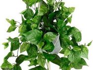 Kunstpflanze Künstliche Philo-Hängeampel mit Hängeampel, I.GE.A., Höhe 80 cm, Topfpflanze Kunstblume