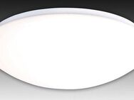 näve LED Deckenleuchte Bern, Dimmfunktion, mehrere Helligkeitsstufen, LED fest integriert, Kaltweiß, Neutralweiß, Tageslichtweiß, Warmweiß, CCT,Nachlichtfunktion,dimmbar, Fernbedienung