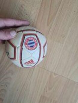Mini Fussball von Adidas mit orginal Roy Makaay Autogramm - Leipzig