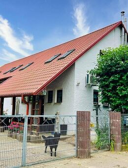 Einfamilienhaus mit Einliegerwohnung und Gewerbehalle in Velgast - Velgast