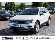 VW Tiguan Highline 1.5 TSI DSG PANO AHK NAVI KAMERA PARK EL. HECKKL. - Pohlheim