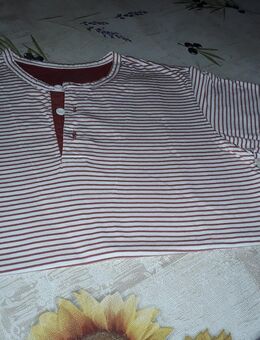 Herren Shirt Adolfo Dominguez, Größe 5 - Rösrath