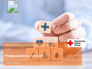 Pflegeausbildung (m/w/d) - Wittenberg (Lutherstadt)