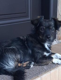 Danna - kleine Sportskanone - Schlitz