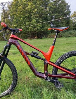 Canyon Spectral CF 7.0 L Carbon - Weggis