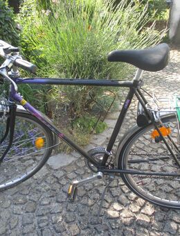sportliches KTM Herrenrad ( für große Leute ) - Germering