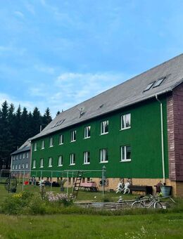 Perfekt für die Familie: Helle Wohnung im kinderfreundlichen grünem Umfeld - Johanngeorgenstadt