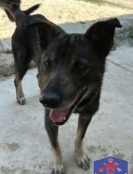 Eduard, geselliger kleiner Mann - Gettorf