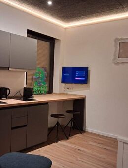 Vollmöbliertes 1-Zi App als Zeitmiete - Neustadt (Weinstraße)