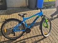 Fahrrad Bulls 27.5 - Echzell