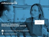 (Junior) IT Consultant / Unternehmensberater (w/m/d) - Frankfurt (Main)