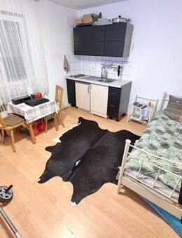 Teilmöblierte 1 ZW in gepflegtem Haus - Stockstadt (Main)