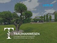 TRAUMANWESEN - Großzügiger Bungalow mit traumhaftem Grundstück in bester Lage von Talheim - Talheim (Regierungsbezirk Stuttgart)