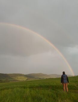 `Mas Special´ Magnetfeldtherapie Steuergeraet + MagnetfeldMatte - Göttingen