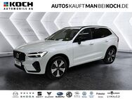 Volvo XC60, T6 Plug-In AWD Plus Dark HK, Jahr 2023 - Berlin