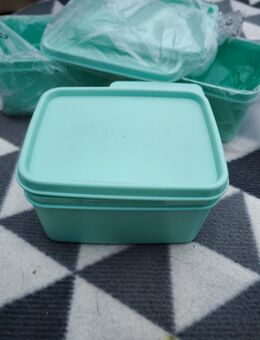 Tupperware Box Frische Ecke 500ml Mintgrün Tupperware Box grün Quadro - Sengenthal
