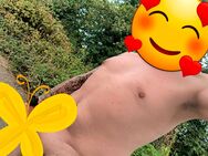 Suche Sie - Contwig