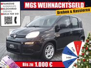 Fiat Panda, # # #, Jahr 2024 - Bayreuth