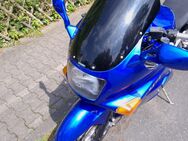 Kawasaki ZX-10 - Steinhagen (Nordrhein-Westfalen)