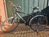 Herren Trekking-Fahrrad Bergamont Horizon 7.8 - Stade (Hansestadt)