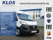 Fiat Ducato, MAXI 35 L5H2 GKaWa 180PS MJET E6D TECHNO CITY FREIGHT, Jahr 2024 - Kirn