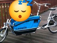 Gazelle Lastenrad Lasten Fahrrad Kindertransport Fahrrad - Langenhagen