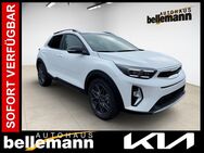 Kia Stonic, 1.0 T-GDI 48V Nightline |AUTOMATIK, Jahr 2022 - Speyer