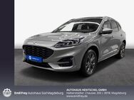 Ford Kuga 2.5 Duratec PHEV ST-LINE - Magdeburg