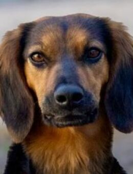 Sarina wünscht sich aktive Menschen - Neuss