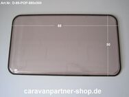 Dethleffs Wohnwagen Fenster ca 88 x 50 gebraucht Roxite 80 - Schotten Zentrum