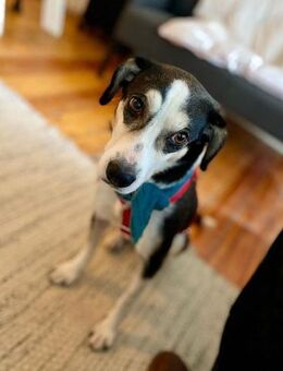 Skadi: offen, menschenbezogen + so lieb! - Karben