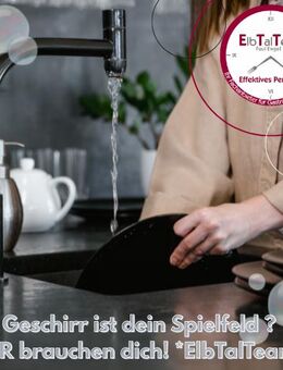 Geschirr ist dein Spielfeld ? – WIR brauchen dich! *ElbTalTeam* - Dresden