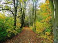 ✌️ Freunde des schnellen Laufens gesucht 😎 - Moers