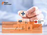 Pflegeausbildung (m/w/d) - Wittenberg (Lutherstadt)
