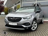 Opel Grandland INNOVATION 1.2 Turbo EU6d-T Navi/LED/E - Bickenbach (Hessen)