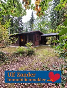 Sehr schönes Ferienhaus (Holzhaus) in Böddenstedt - Suderburg