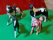 4 Pferde von Schleich - Bernau (Berlin)