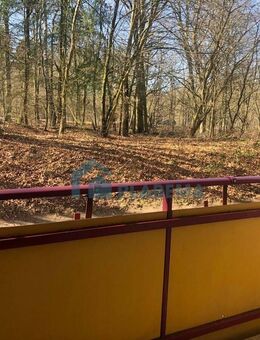 Hochparterre mit Balkon! - Schwerin