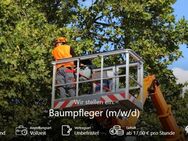 Baumpfleger (m/w/d) - Königsbrunn Zentrum