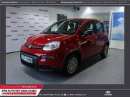 Fiat Panda, 1.0 Hybrid GSE 51kw (70PS) City-Paket, Jahr 2024 - Schweinfurt