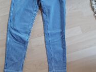Hose - Geseke
